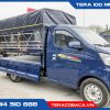 tera 100 mui bạt