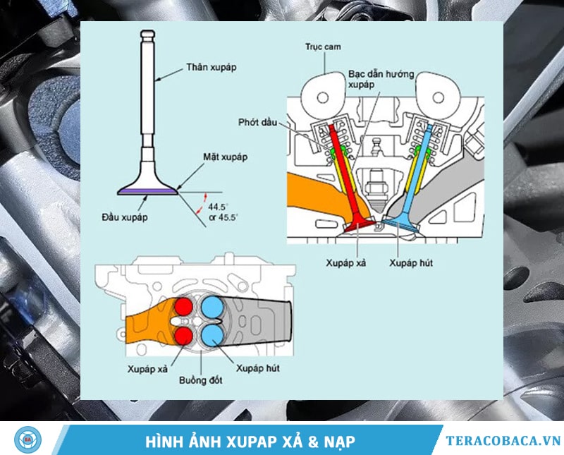 Xupap nạp và xả